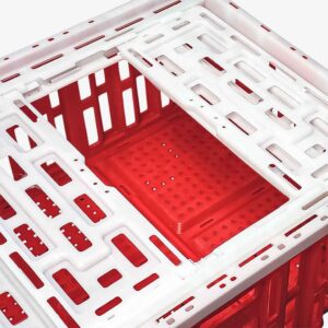 Jaula para gallinas Atomplast tapa abierta